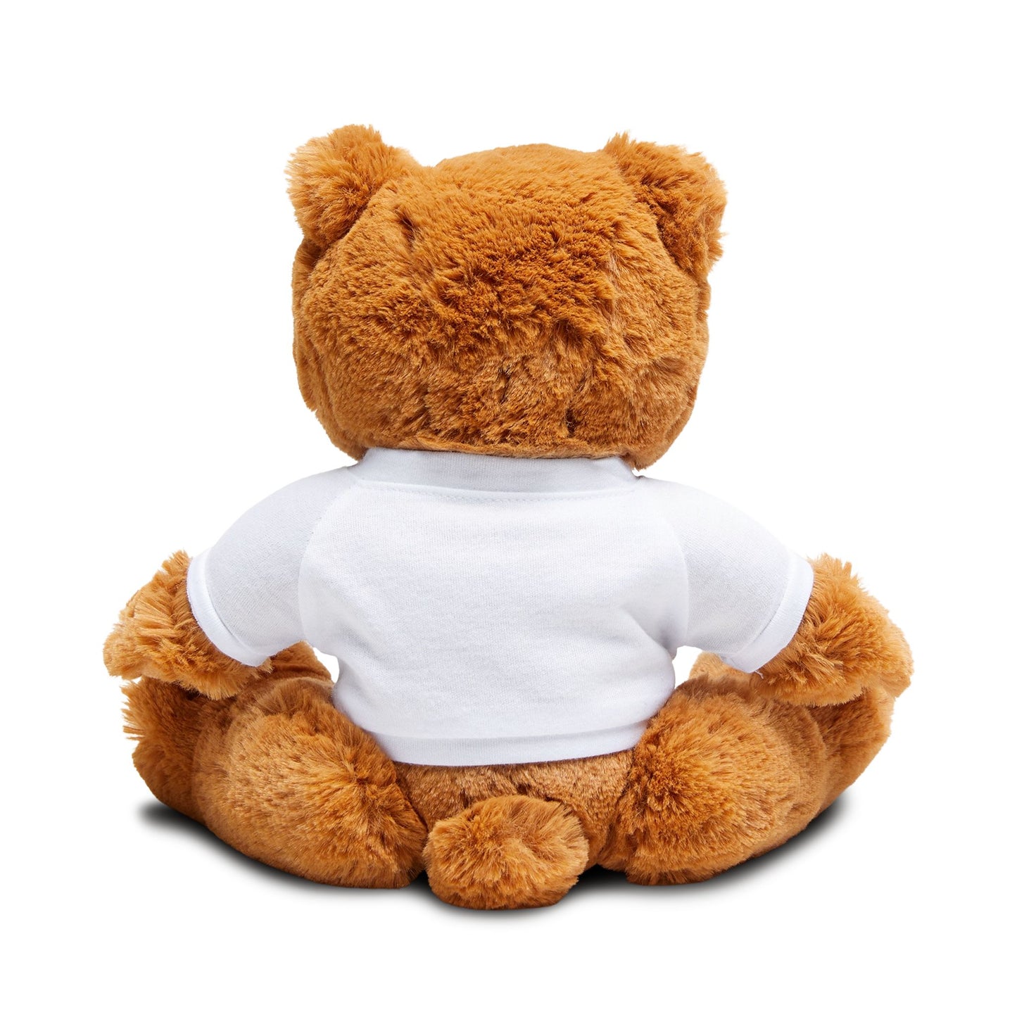 Cute Teddy Bear with T-Shirt, Children's Gift, Comfort Toy, Birthday Present, Support Token, Adorable Keepsake
