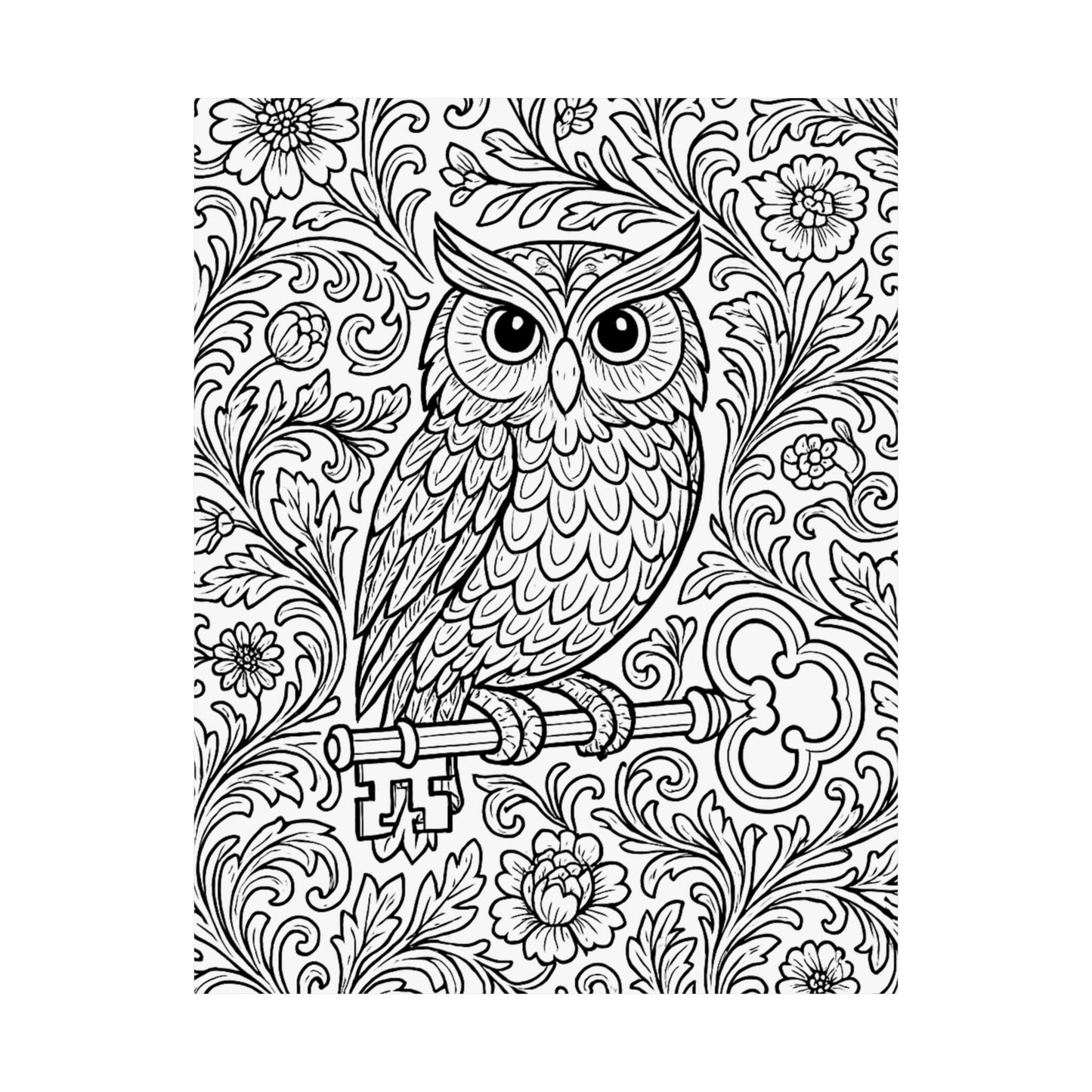 Colorable Owl and Key Poster