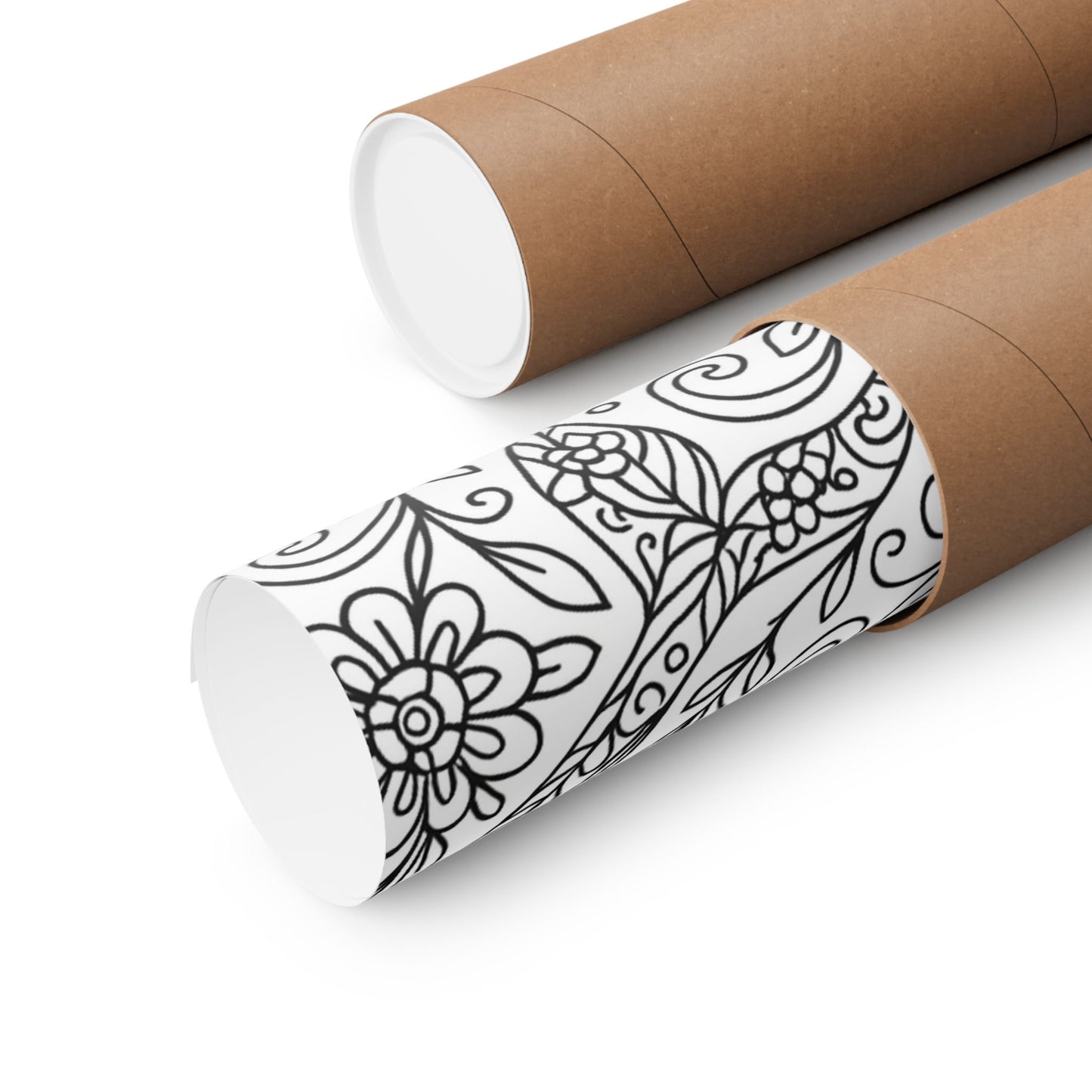 Colorable Dolphins Poster