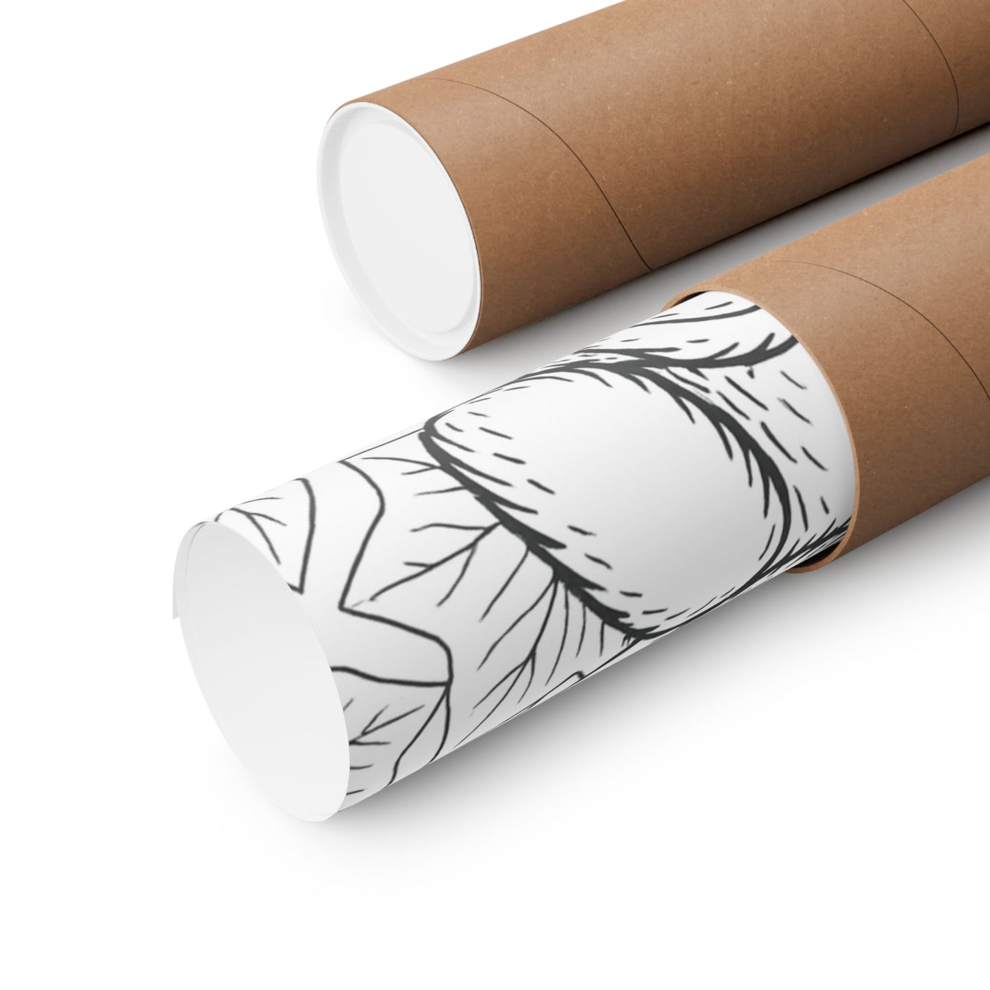 Colorable Bear Poster