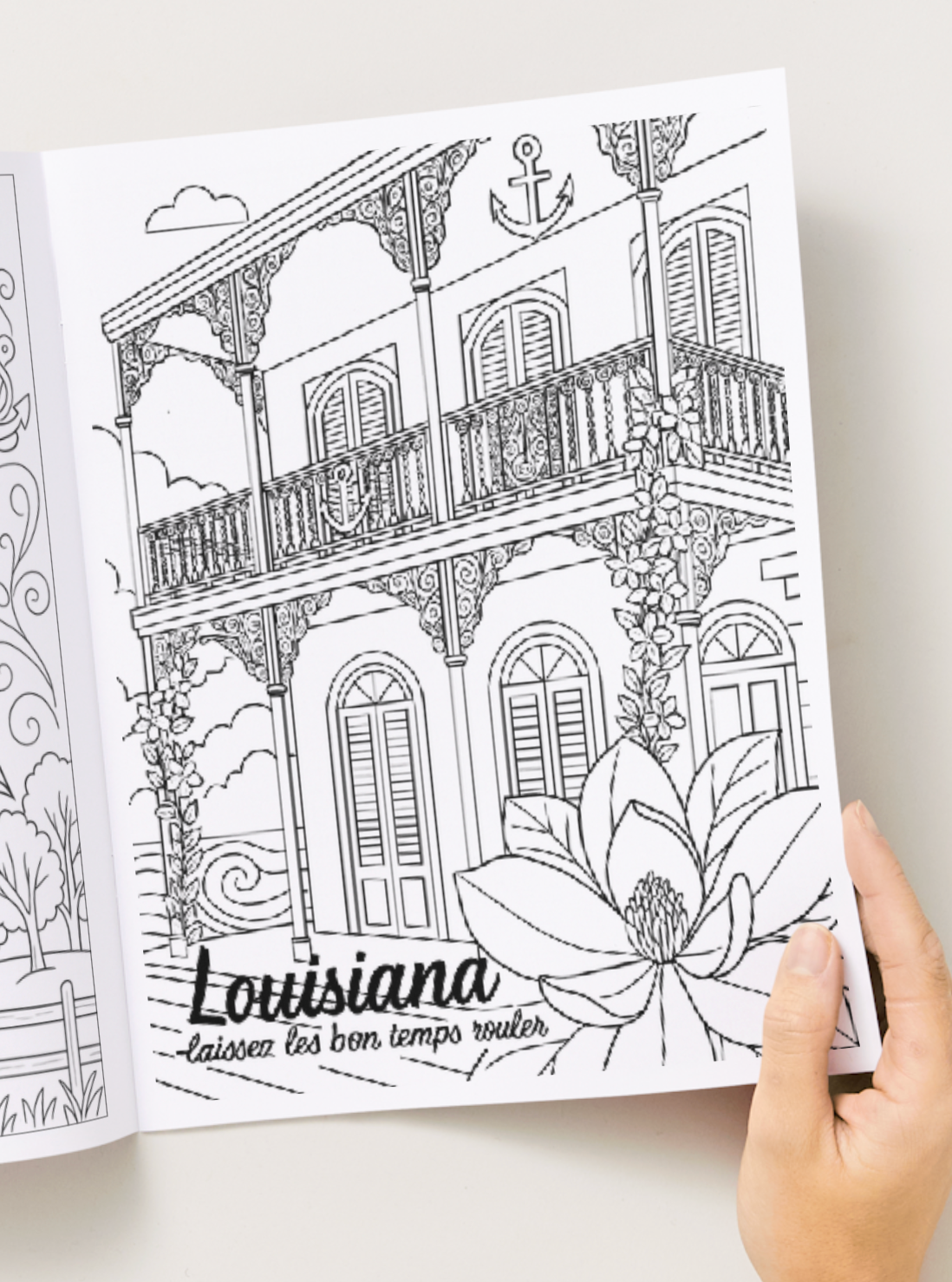 Delta Gamma Coloring Book Signature Edition Paperback, 56 Pages, (Inside pages printed in Greyscale)